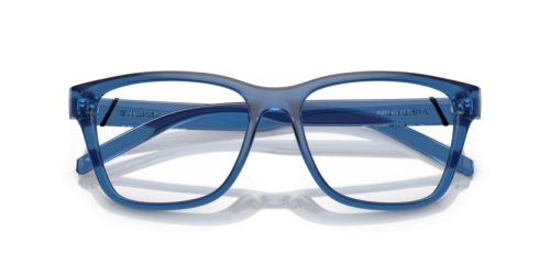 ARNETTE TELMO 0AN7229 2873 55 Szemüvegkeret