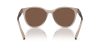 ARMANI EXCHANGE  0AX4144SU 83447P 54 Napszemüveg