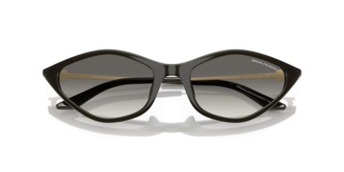 ARMANI EXCHANGE  0AX4152SU 836711 55 Napszemüveg