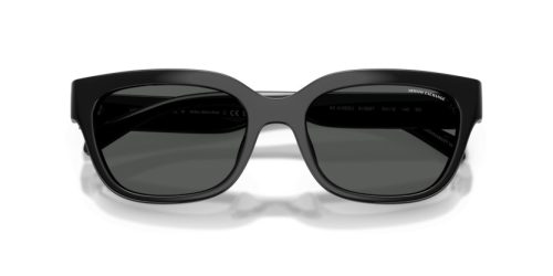 ARMANI EXCHANGE  0AX4155SU 815887 54 Napszemüveg