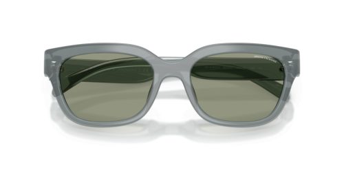 ARMANI EXCHANGE  0AX4155SU 8375/2 54 Napszemüveg