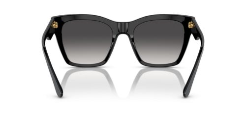DOLCE & GABBANA  0DG4384 501/8G 53 Napszemüveg