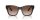DOLCE & GABBANA  0DG4384 502/13 53 Napszemüveg