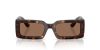 DOLCE & GABBANA  0DG4416 193573 53 Napszemüveg