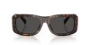 DOLCE & GABBANA  0DG4503 502/87 57 Napszemüveg
