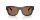DOLCE & GABBANA  0DG4509 502/73 50 Napszemüveg