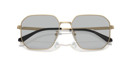 EMPORIO ARMANI  0EA2154D 300287 57 Napszemüveg