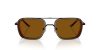 EMPORIO ARMANI  0EA2162 300163 54 Napszemüveg