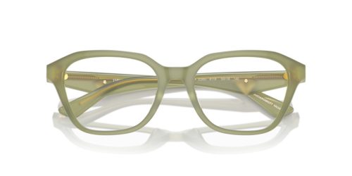 EMPORIO ARMANI  0EA3235U 6116 53 Szemüvegkeret