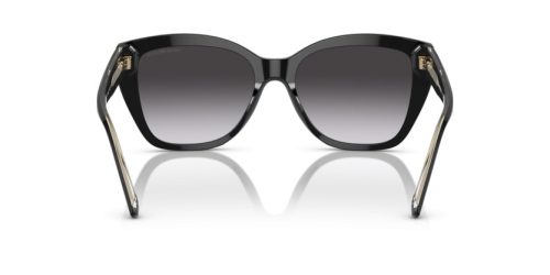 EMPORIO ARMANI  0EA4198 50178G 55 Napszemüveg