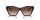 EMPORIO ARMANI  0EA4203U 502613 55 Napszemüveg