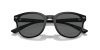 EMPORIO ARMANI  0EA4225U 500187 53 Napszemüveg
