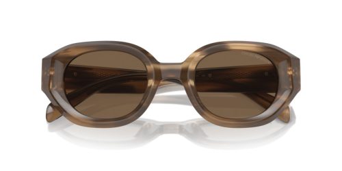 EMPORIO ARMANI  0EA4230U 614973 48 Napszemüveg