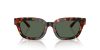 EMPORIO ARMANI  0EA4233U 618271 53 Napszemüveg