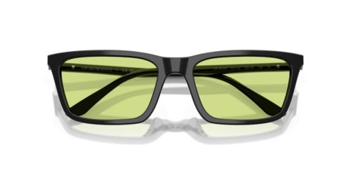 EMPORIO ARMANI  0EA4239U 5017/2 55 Napszemüveg