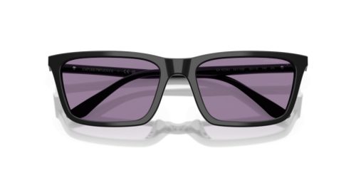EMPORIO ARMANI  0EA4239U 501769 55 Napszemüveg