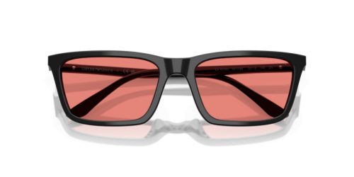 EMPORIO ARMANI  0EA4239U 501784 55 Napszemüveg
