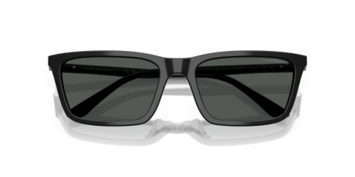 EMPORIO ARMANI  0EA4239U 501787 55 Napszemüveg