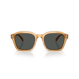 EMPORIO ARMANI  0EA4245U 624687 54 Napszemüveg