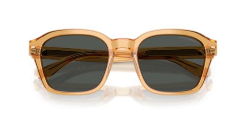 EMPORIO ARMANI  0EA4245U 624687 54 Napszemüveg