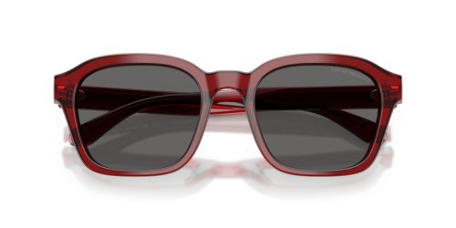 EMPORIO ARMANI  0EA4245U 624887 54 Napszemüveg
