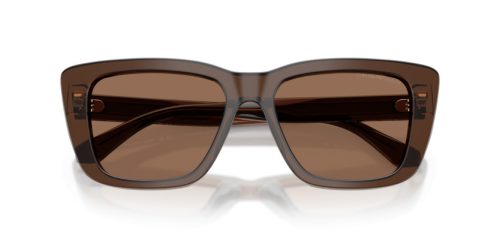 EMPORIO ARMANI  0EA4246U 625173 54 Napszemüveg