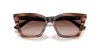 EMPORIO ARMANI  0EA4250U 626613 54 Napszemüveg