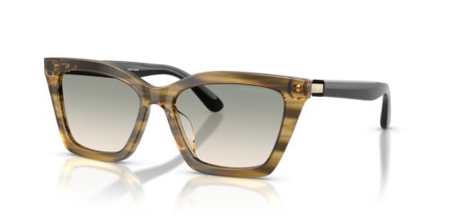 EMPORIO ARMANI  0EA4250U 62672C 54 Napszemüveg