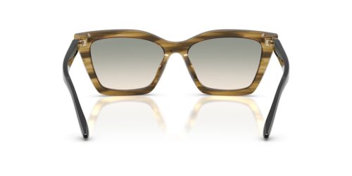 EMPORIO ARMANI  0EA4250U 62672C 54 Napszemüveg