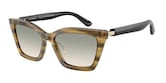 EMPORIO ARMANI  0EA4250U 62672C 54 Napszemüveg