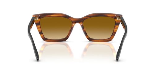 EMPORIO ARMANI  0EA4250U 62682L 54 Napszemüveg