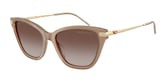 EMPORIO ARMANI  0EA4251 62628G 54 Napszemüveg