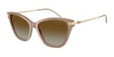 EMPORIO ARMANI  0EA4251 62642C 54 Napszemüveg