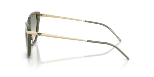 EMPORIO ARMANI  0EA4251 62642C 54 Napszemüveg