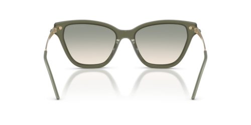 EMPORIO ARMANI  0EA4251 62642C 54 Napszemüveg