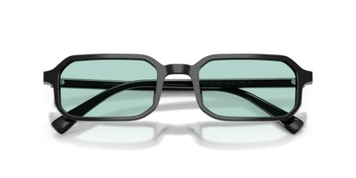 EMPORIO ARMANI  0EA4253U 501765 54 Napszemüveg