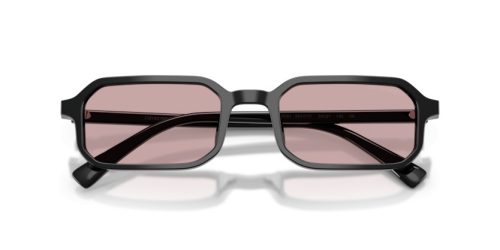 EMPORIO ARMANI  0EA4253U 501773 54 Napszemüveg
