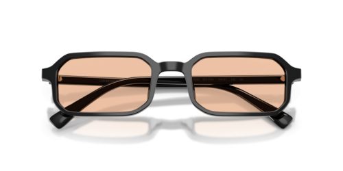 EMPORIO ARMANI  0EA4253U 501793 54 Napszemüveg
