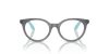 Emporio Armani Kids  0EK3007 6134 47 Szemüvegkeret