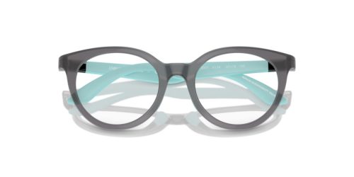 Emporio Armani Kids  0EK3007 6134 47 Szemüvegkeret