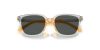 Emporio Armani Kids  0EK4006U 627987 49 Napszemüveg