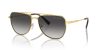 MICHAEL KORS WHISTLER 0MK1155 18968G 58 Napszemüveg