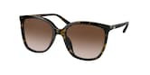 MICHAEL KORS ANAHEIM 0MK2137U 4003M5 54 Napszemüveg