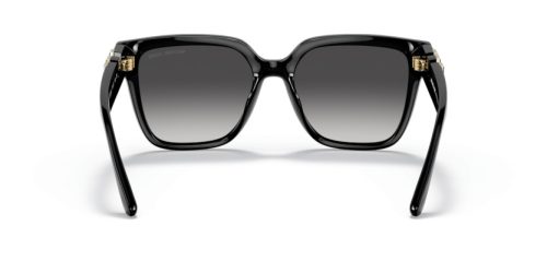 MICHAEL KORS KARLIE 0MK2170U 30058G 54 Napszemüveg