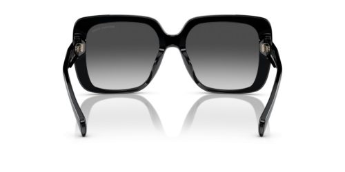 MICHAEL KORS MALLORCA 0MK2183U 30058G 55 Napszemüveg
