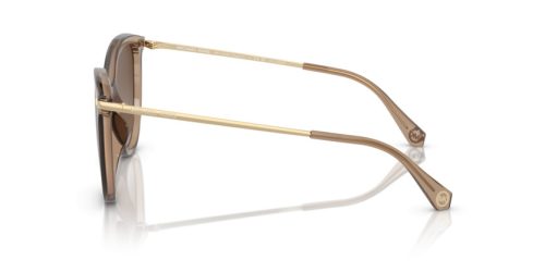 MICHAEL KORS DUPONT 0MK2184U 3938T5 58 Napszemüveg