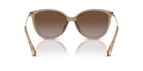 MICHAEL KORS DUPONT 0MK2184U 3938T5 58 Napszemüveg