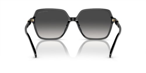 MICHAEL KORS JASPER 0MK2196U 30058G 58 Napszemüveg