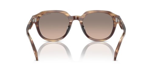 MICHAEL KORS EGER 0MK2216U 39776I 52 Napszemüveg