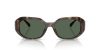 MICHAEL KORS SIESTA KEY 0MK2240U 300671 54 Napszemüveg